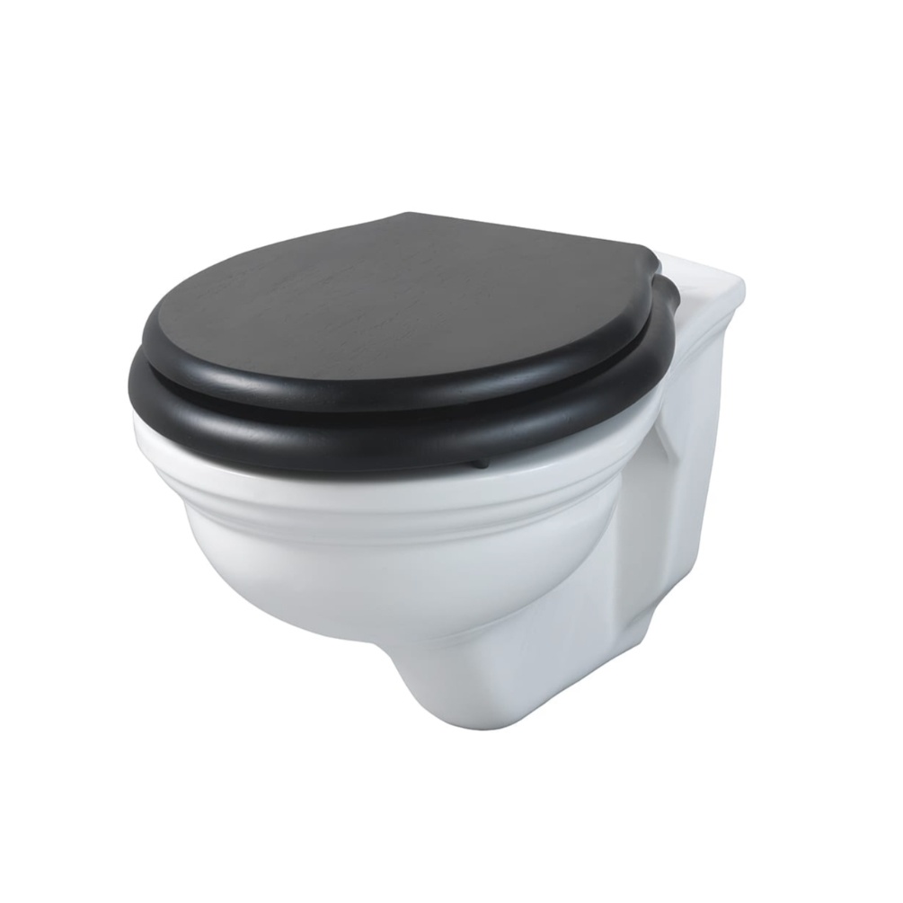 Cut out image of the Sanctuary Elwick Wall Hung Toilet